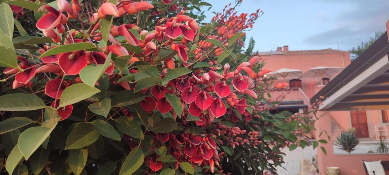 Bioagriturismo Antica Sena Milici Eksteriør bilde