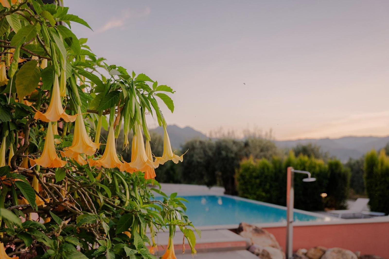 Bioagriturismo Antica Sena Milici Eksteriør bilde